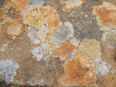 flechten1.jpg