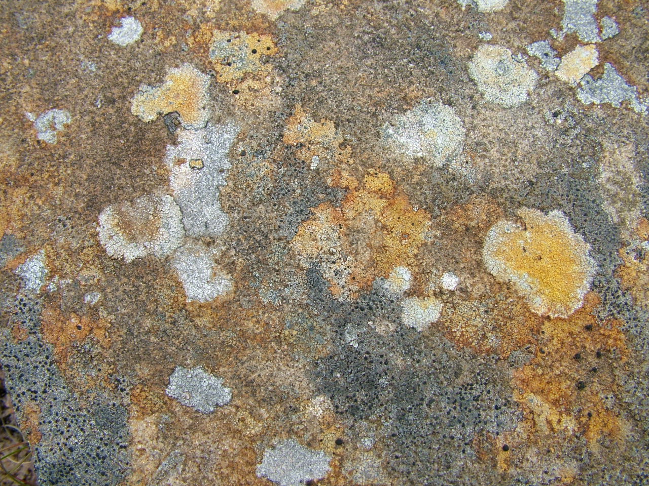 flechten2.jpg