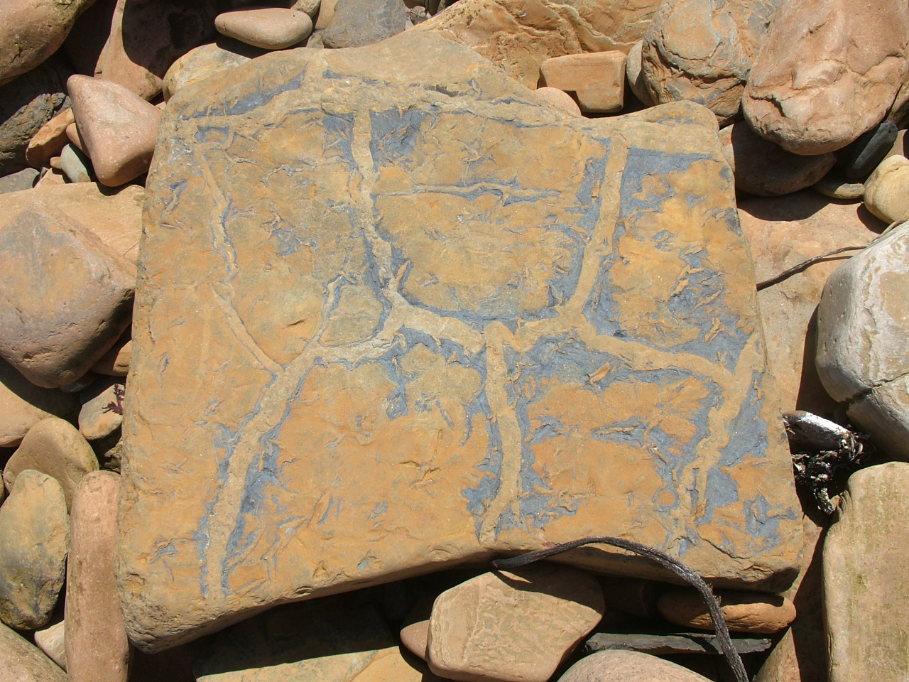 stone2.jpg